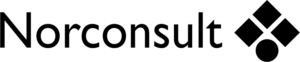 logo_norconsult_black_700x146-removebg-preview